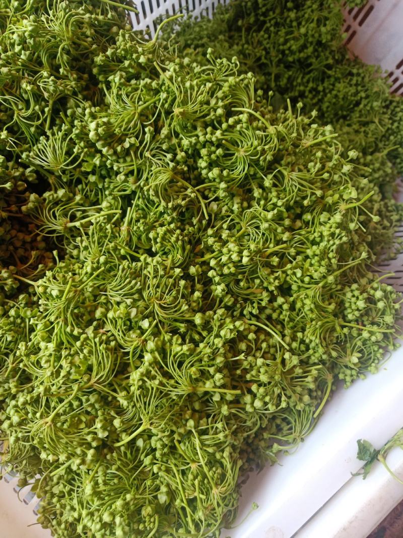 云南普洱苦藤花、苦凉花_素炒、炒肉、煎鸡蛋