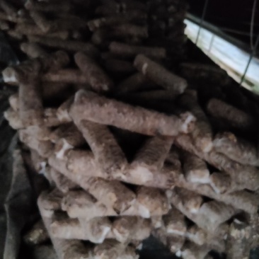 食用菌菌棒，种苗，试管，原种