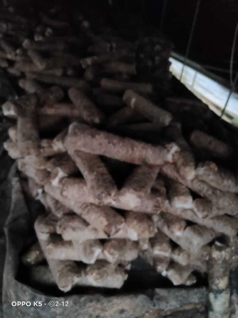 食用菌菌棒，种苗，试管，原种