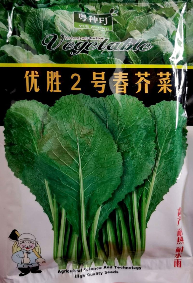 优胜2号春芥菜种子，品质优，耐高温高湿，购买请联系