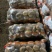 尤金885土豆发往全国各地保证质量