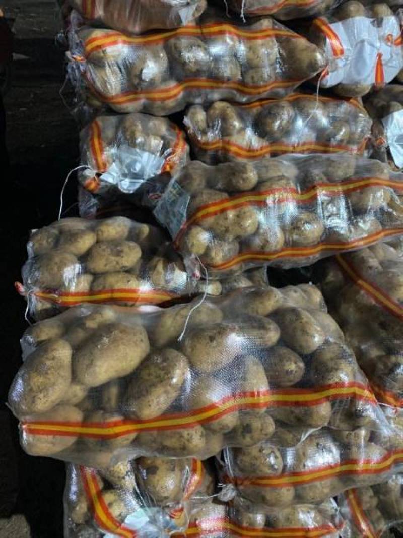 尤金885土豆发往全国各地保证质量