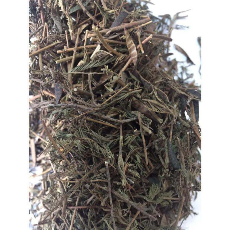 软肝草水皂角铁甲草正品保障可打专业批发