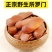 正品天然向天果纯散装向天果仁非特级野生非所罗门原