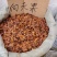 正品天然向天果纯散装向天果仁非特级野生非所罗门原