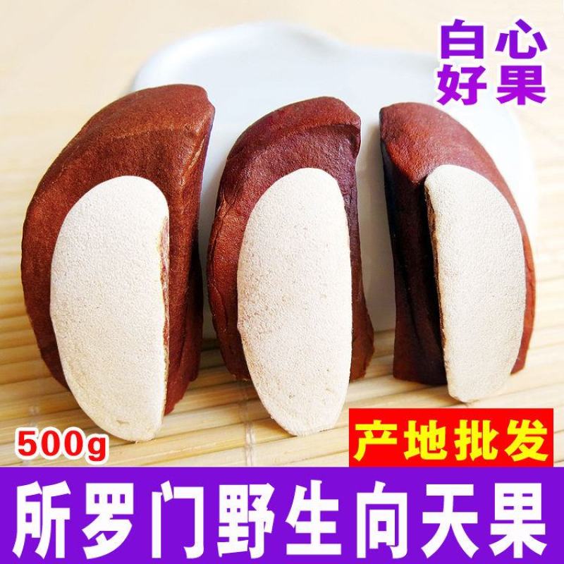 正品天然向天果纯散装向天果仁非特级野生非所罗门原