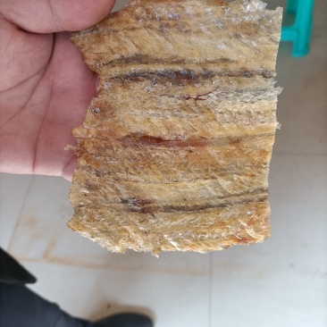 舟山现烤鳗鱼片厂家直发
