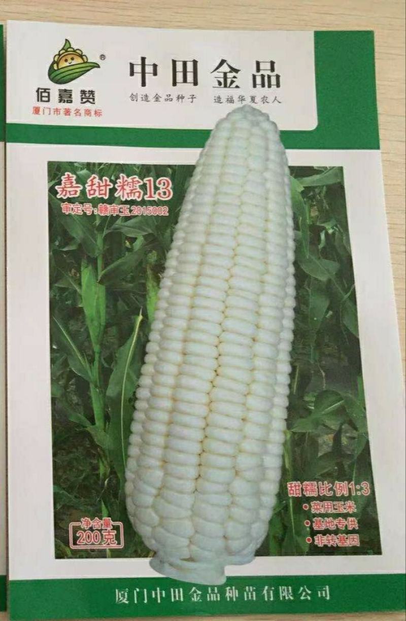 嘉甜糯13鲜食糯玉米种子甜糯比例1：3口感好