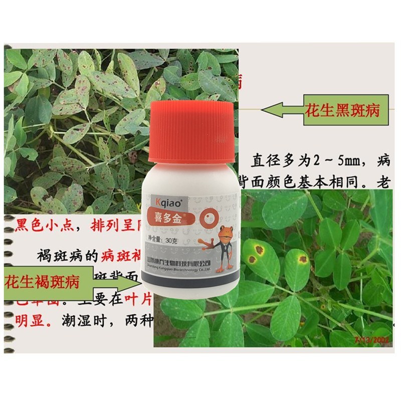 唑醚氟环唑小麦玉米大蒜洋葱黄疸红点铁锈病花生叶斑病杀菌剂