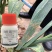 唑醚氟环唑小麦玉米大蒜洋葱黄疸红点铁锈病花生叶斑病杀菌剂