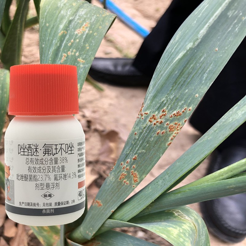 唑醚氟环唑小麦玉米大蒜洋葱黄疸红点铁锈病花生叶斑病杀菌剂