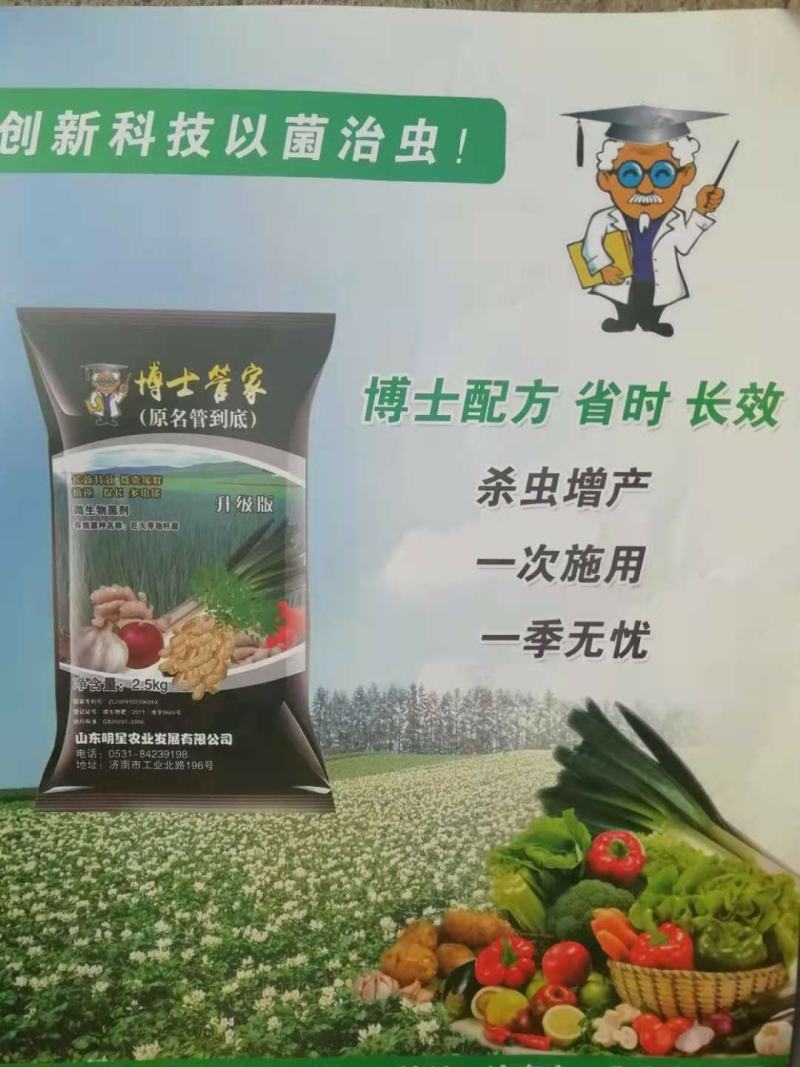 博士管家专注葱姜系列量大从优厂家发货