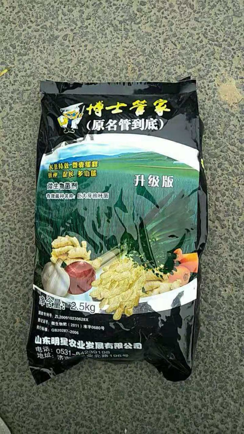 博士管家专注葱姜系列量大从优厂家发货