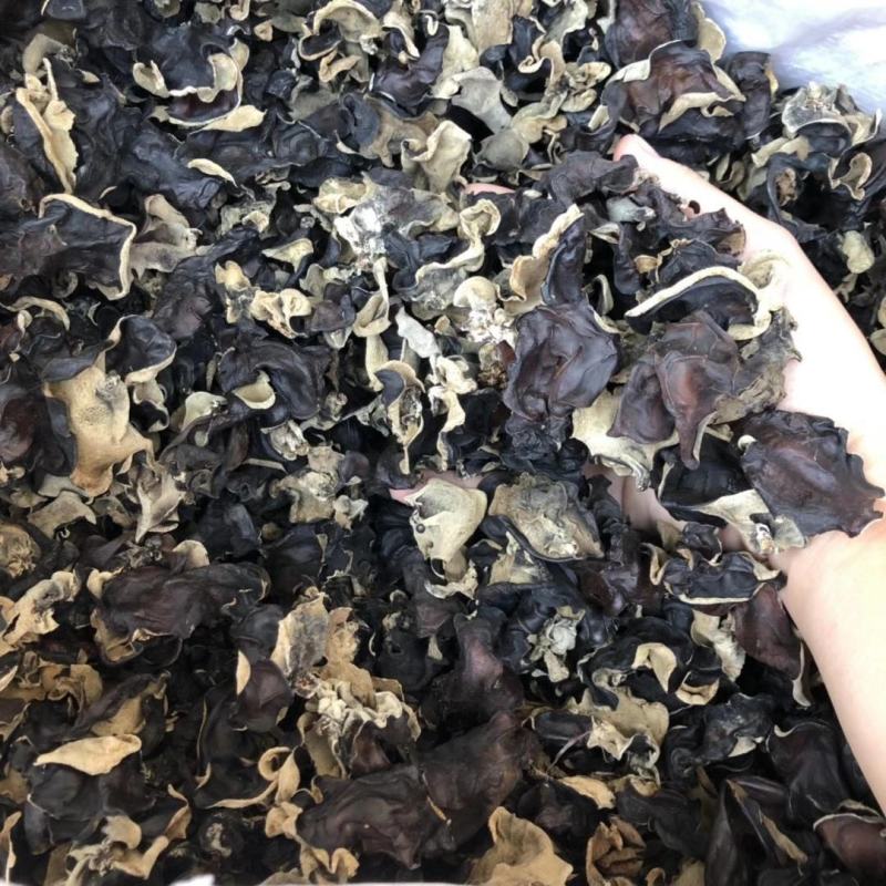 水洗毛木耳黑木耳地摊展会跑江湖爆利一手货源