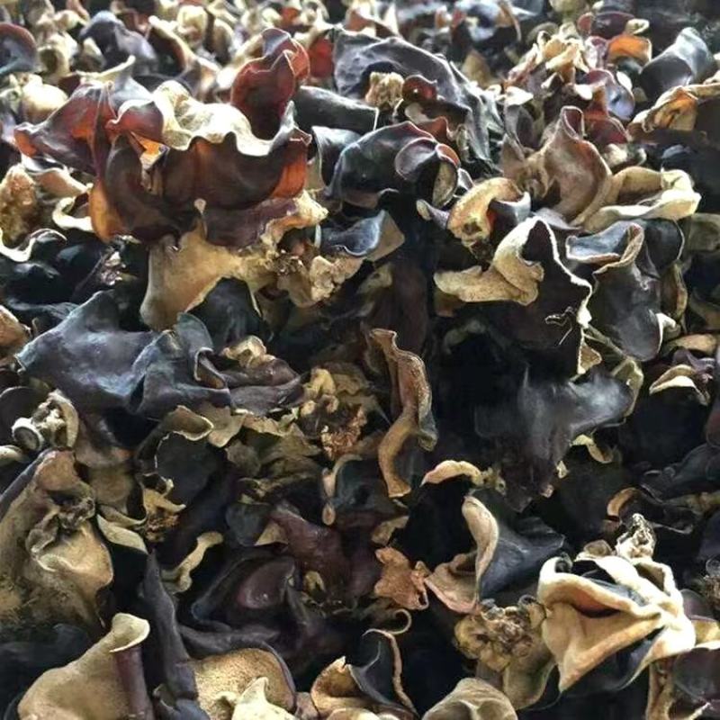水洗毛木耳黑木耳地摊展会跑江湖爆利一手货源