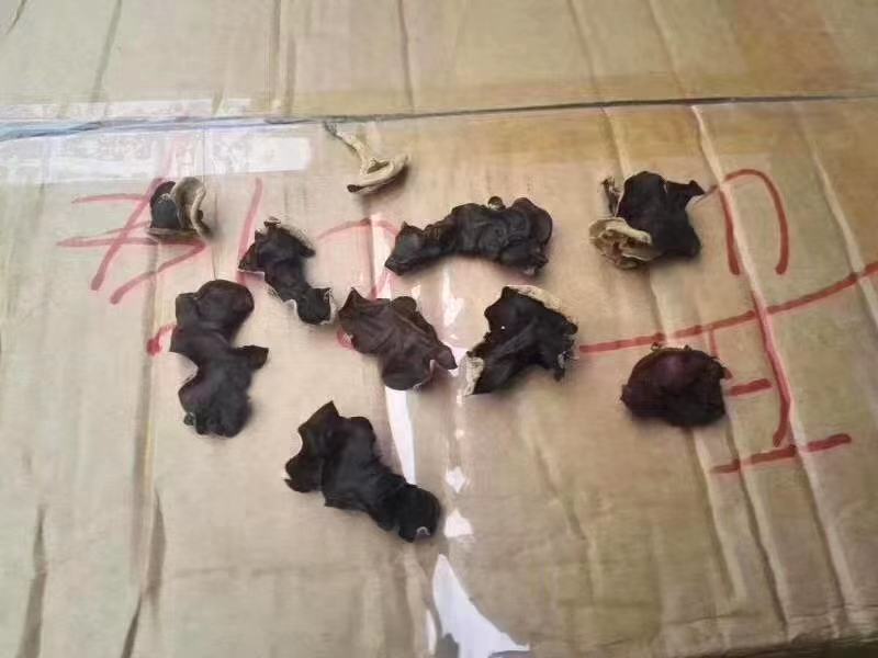 图片说明:展示毛木耳的主要营养成分数据,帮助读者了解其健康价值 毛木耳营养成分表