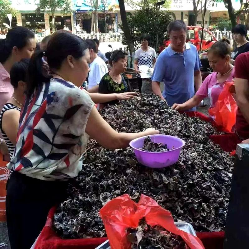 水洗毛木耳黑木耳地摊展会跑江湖爆利一手货源