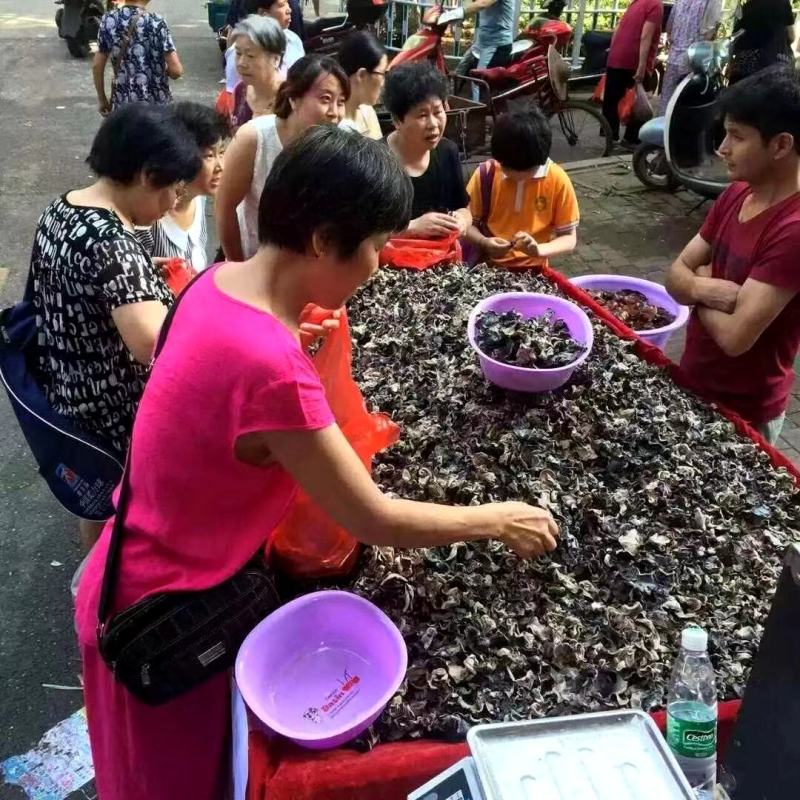 水洗毛木耳黑木耳地摊展会跑江湖爆利一手货源