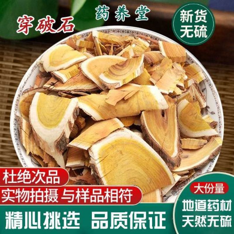 正品穿破石正宗新货穿破石无硫无添加中药材川破石包邮各