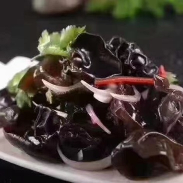 正宗黑木耳小木耳碗耳一手货源批发全国发货