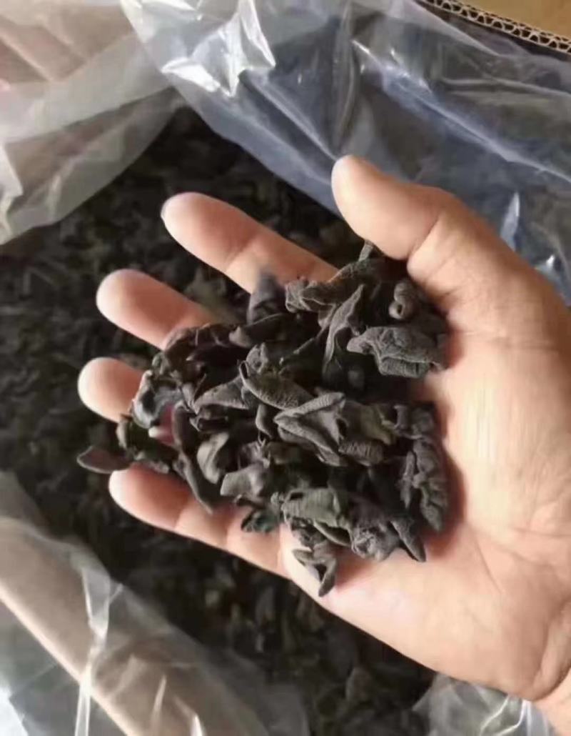 正宗黑木耳小木耳碗耳一手货源批发全国发货
