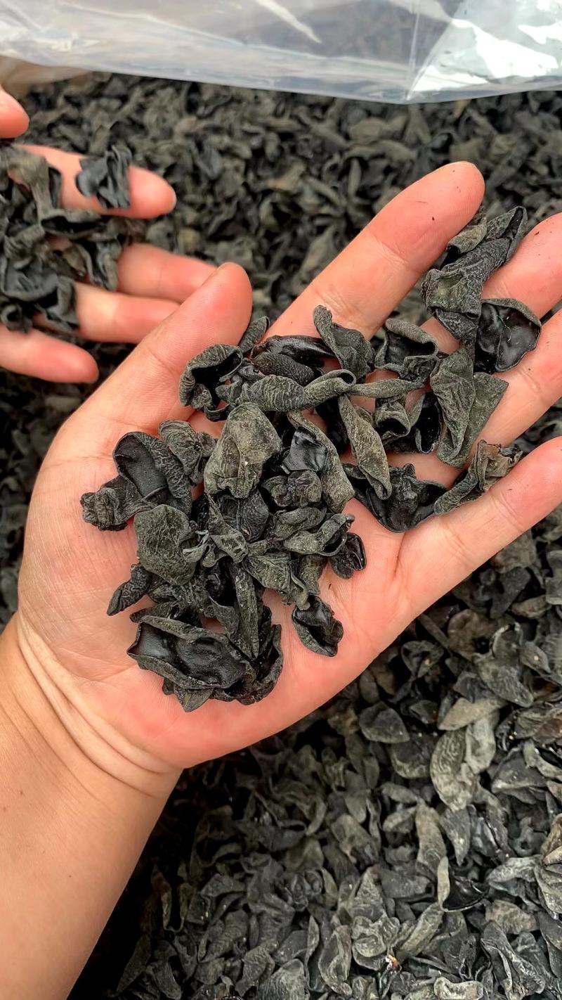 正宗黑木耳小木耳碗耳一手货源批发全国发货