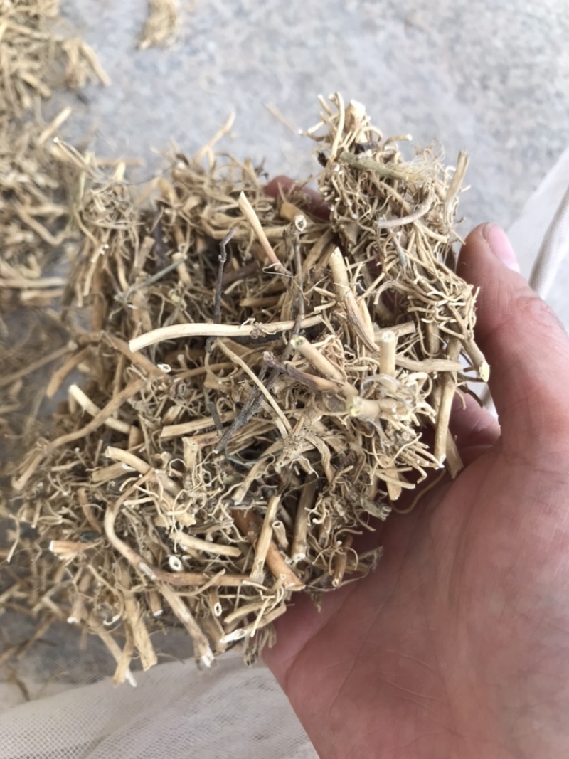 白前白前草水杨柳保庆药业干净货无杂质白前