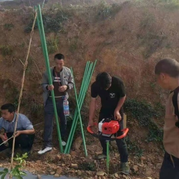 玻璃纤维杆替代水泥柱子立柱百香果支架量大从优