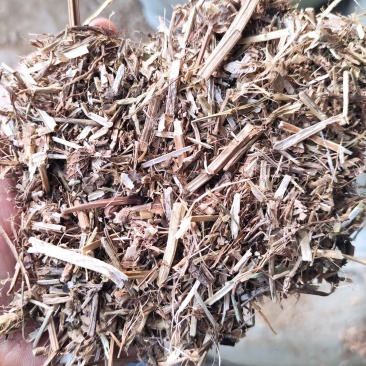 花生秧，过滚筒筛，颜色如图，
