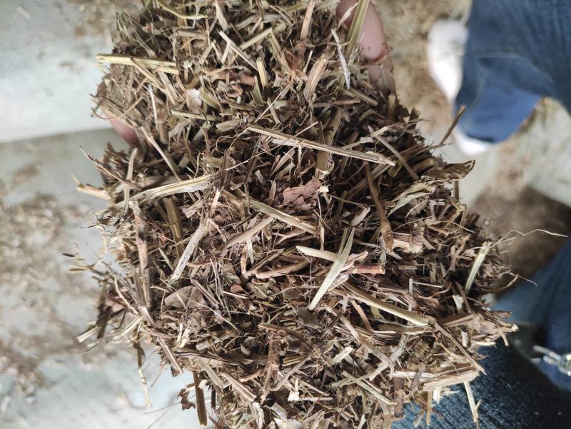 花生秧，过滚筒筛，颜色如图，