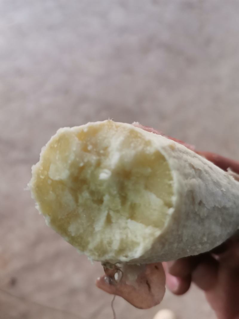 【正宗爆皮王番薯】新鲜爆皮王红薯爆粉地瓜健康营养食品