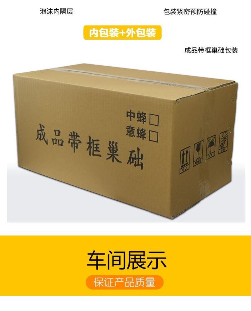 成品巢框中蜂蜂巢带巢础框蜜蜂框架巢基巢脾蜂箱养蜂专用工具