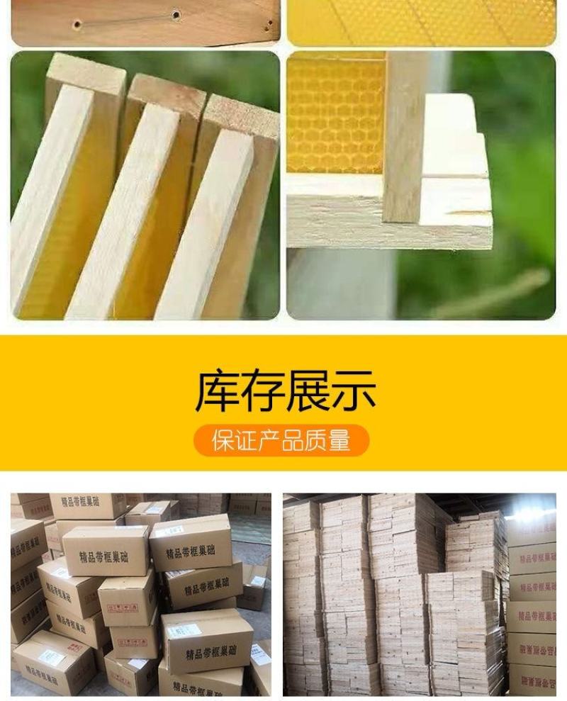 成品巢框中蜂蜂巢带巢础框蜜蜂框架巢基巢脾蜂箱养蜂专用工具