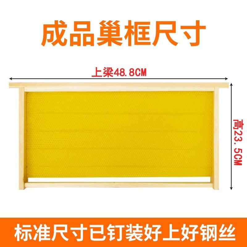 成品巢框中蜂蜂巢带巢础框蜜蜂框架巢基巢脾蜂箱养蜂专用工具