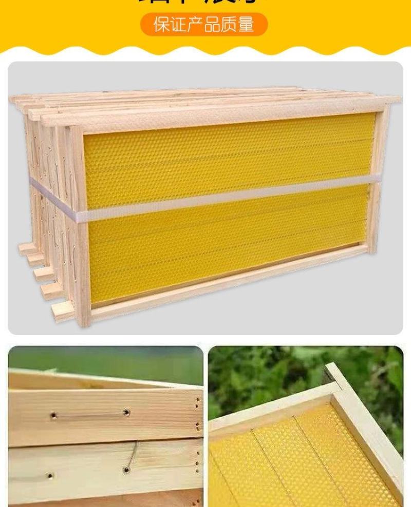 成品巢框中蜂蜂巢带巢础框蜜蜂框架巢基巢脾蜂箱养蜂专用工具