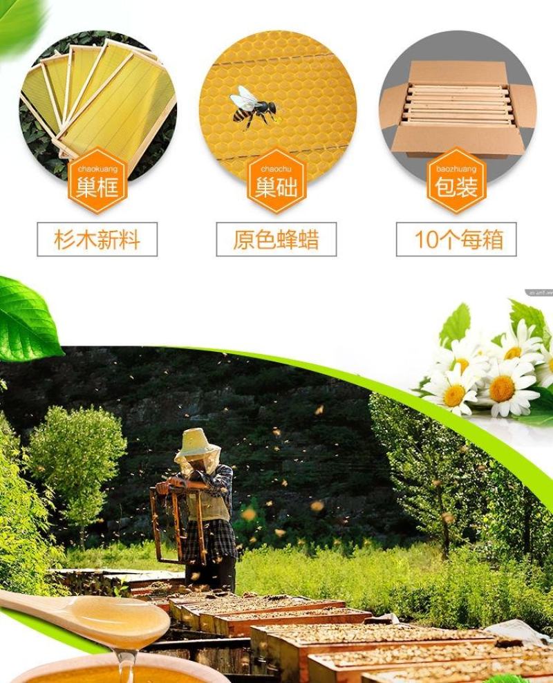 成品巢框中蜂蜂巢带巢础框蜜蜂框架巢基巢脾蜂箱养蜂专用工具