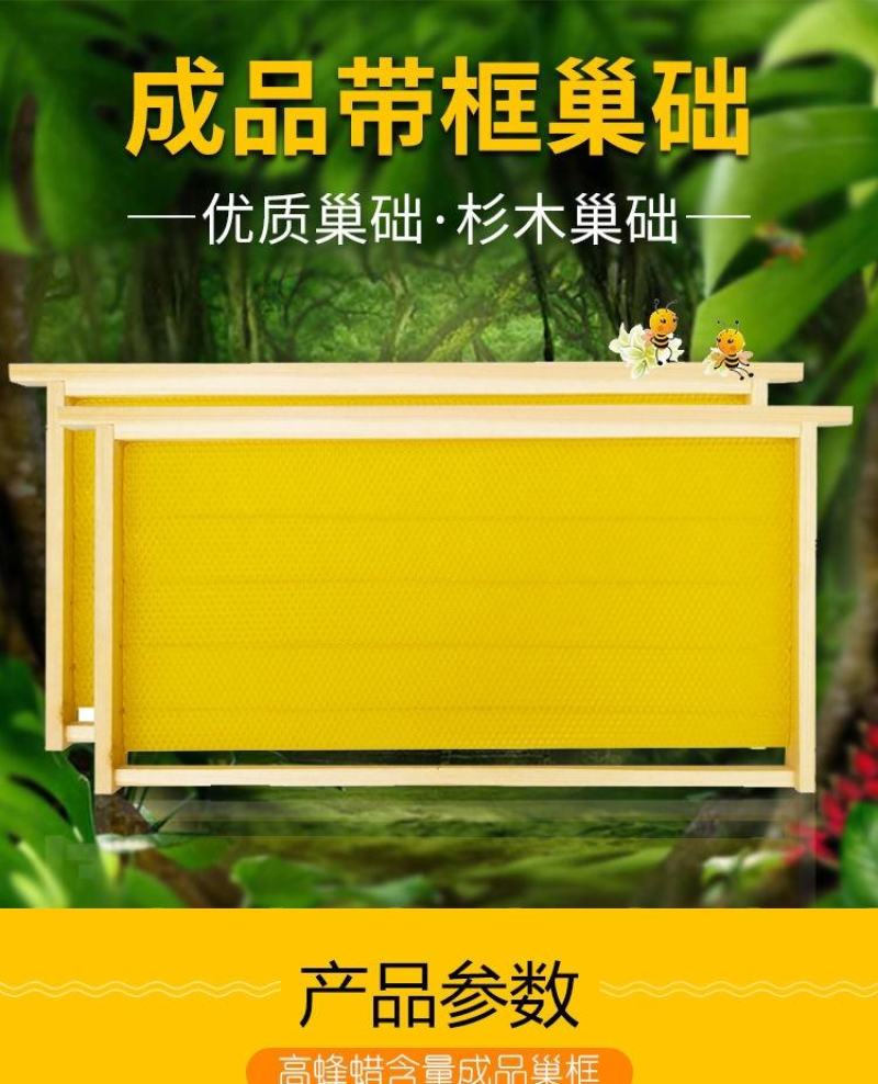 成品巢框中蜂蜂巢带巢础框蜜蜂框架巢基巢脾蜂箱养蜂专用工具
