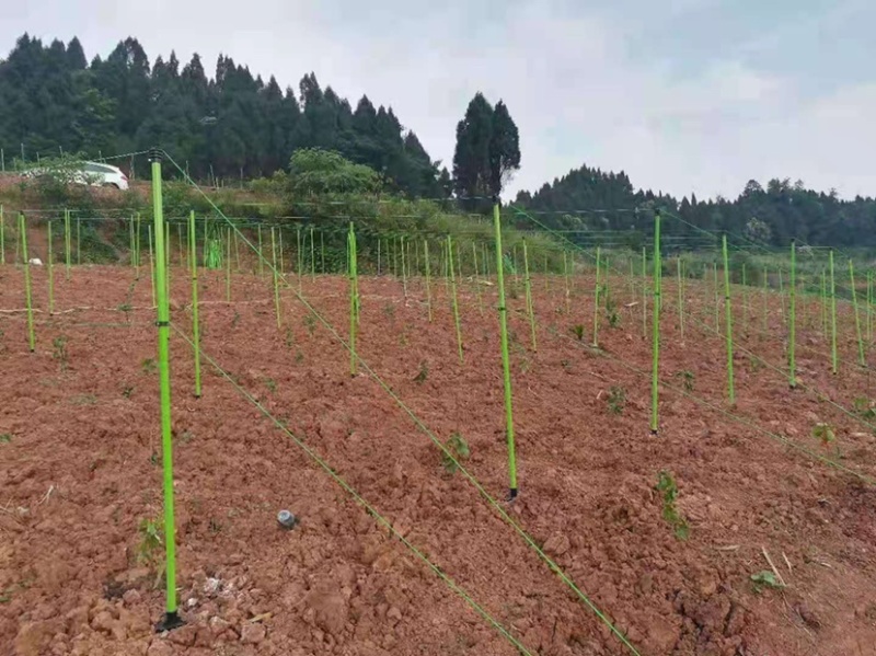 百香果支架玻璃纤维管有无碱纱和树脂合成的抗氧化耐腐蚀