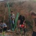 百香果支架玻璃纤维管有无碱纱和树脂合成的抗氧化耐腐蚀