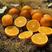 脐橙纽荷尔产地大量供应鲜果现摘现发诚信经营