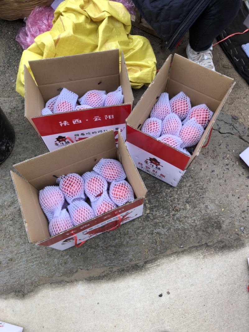 普罗旺斯掉价了，需要的老板下单了