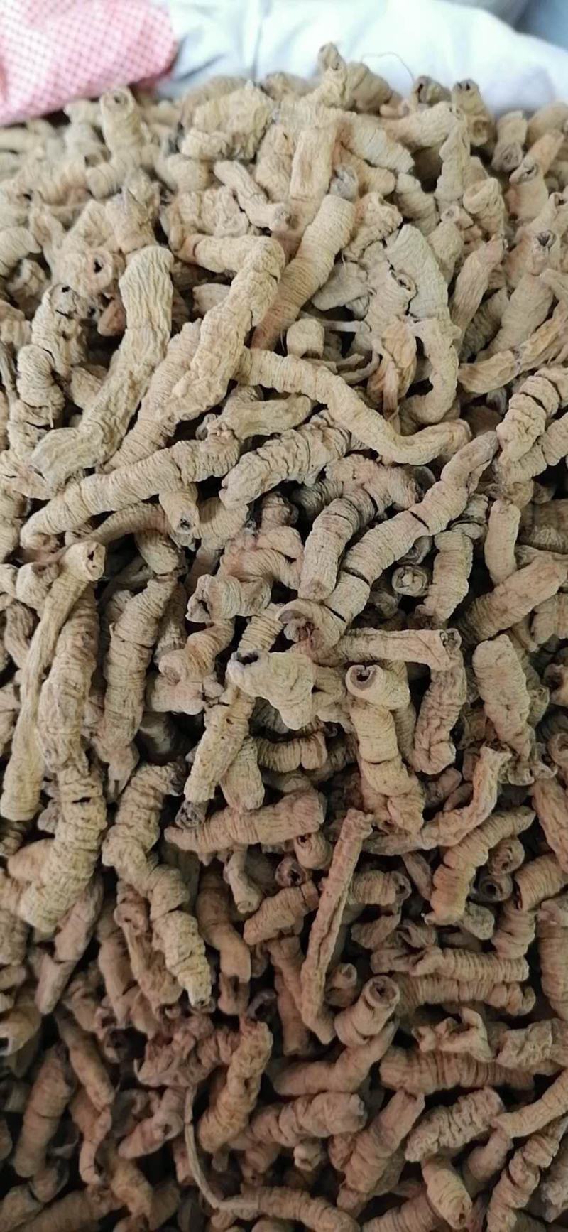 无硫巴戟天巴戟肉批发各种中药材新货各种规格