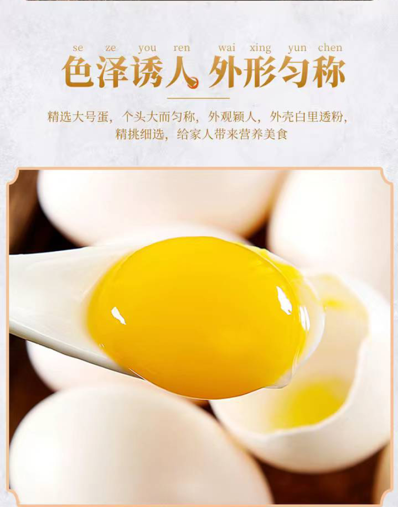 新鲜鸽子蛋，本厂常年出售鸽子蛋，现捡现发，保证新鲜