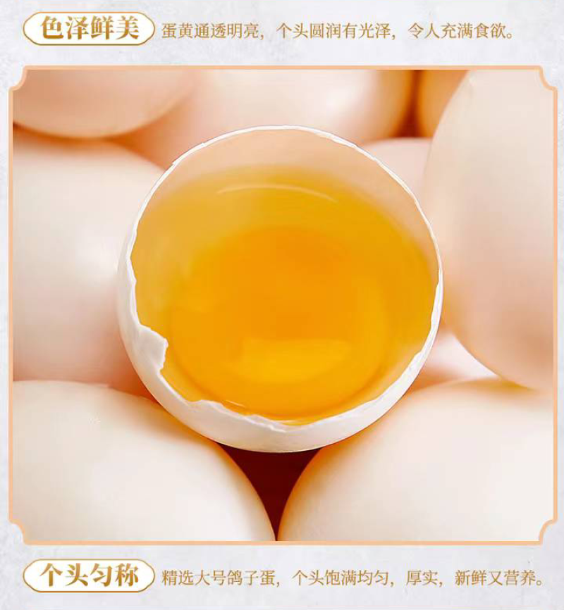 新鲜鸽子蛋，本厂常年出售鸽子蛋，现捡现发，保证新鲜