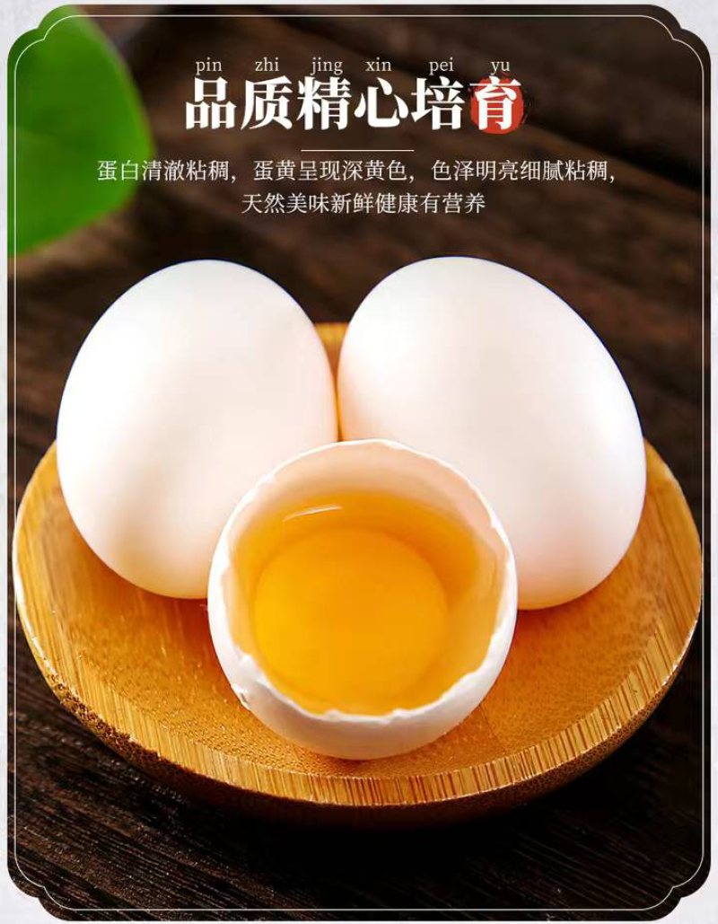 新鲜鸽子蛋，本厂常年出售鸽子蛋，现捡现发，保证新鲜