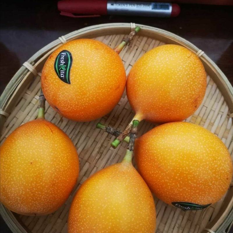 热情果苗果树果苗热情果苗树哥伦比亚热情果苗百香果