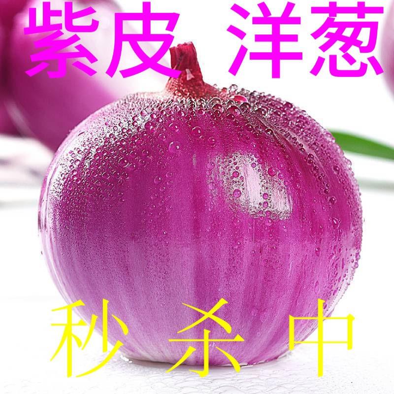 云南高山紫皮鲜洋葱大小圆葱，承接各平台一件代发批发零售
