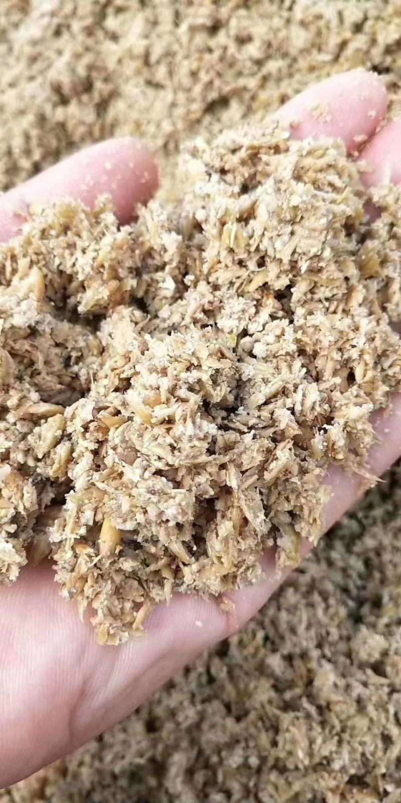 新鲜啤酒糟干酒糟脱水啤酒大量出售。支持全国包邮。