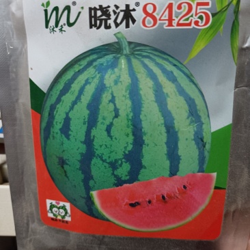 西瓜种子8425中早熟不易裂果中心含糖13度口感酥脆