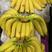 特价进口菲律宾索菲娅佳农香蕉批发地摊商超品上海香蕉